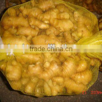 Organic Ginger Root at China Ginger Market Price