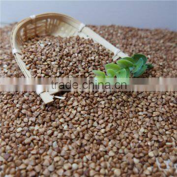 Roasted Buckwheat Kernels 2016 crop hot sale