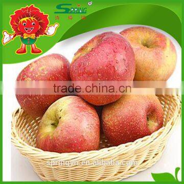 red organic apple on sale