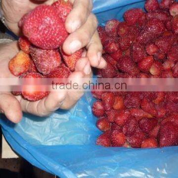 High Quality Frozen Strawberry ready for Export