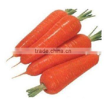 fresh Carrot size:150-200g