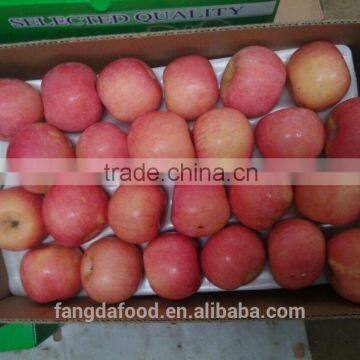 Good quality fuji apple