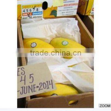 Fresh Mango (Processed / Washed) photo-5