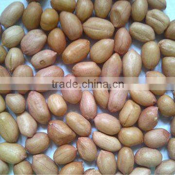 Java Peanuts photo-3