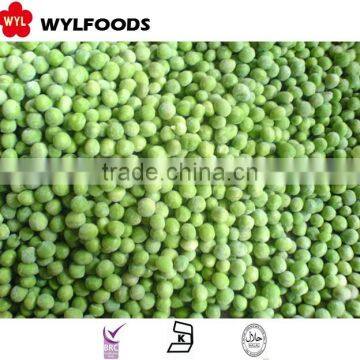 IQF china high quality frozen green peas