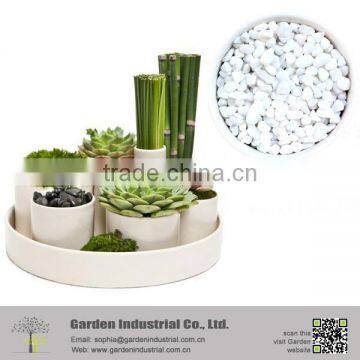 Perlite Fertilizer for Pot Plants