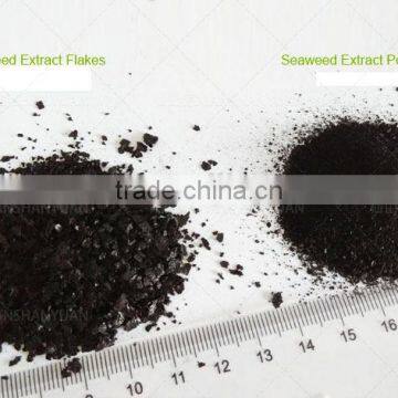 professionally factory supply high quality organic seaweed granular