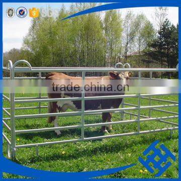 Australia market 1.8x2.1m heavy duty cattle corral panel