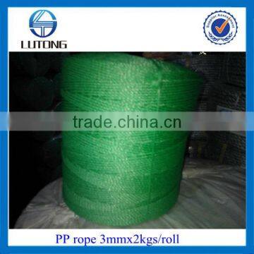 2mm rope / green pe rope