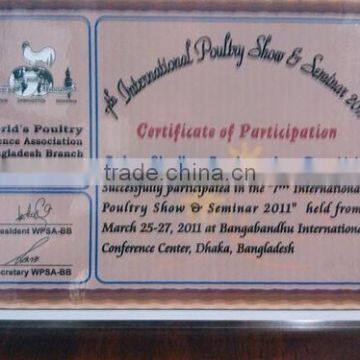 International Poultry Show