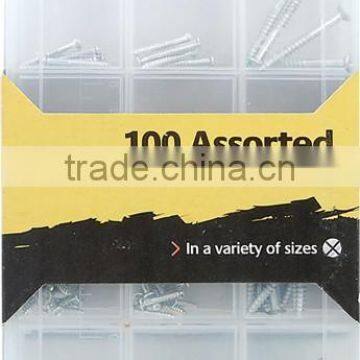 100 pcs assorted steel screw