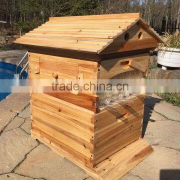 Beehive Box , Super Quality Flowhive Box ,beehive for Sale.flowhive With Flow Frame photo-4