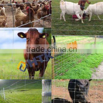 Factory Direct Sale High Tensile Strength Galvanized Football Field Fence photo-4