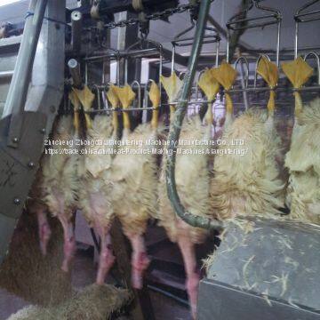 Chicken Pluck Machine photo-3