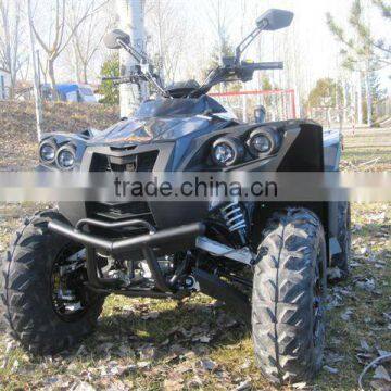 SPORT ATV 800 photo-5