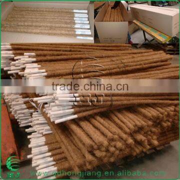 Coir Stake for Climbing Plant Support photo-3