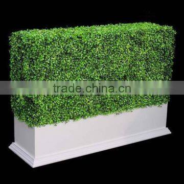 wihte planter artificial boxwood hedge