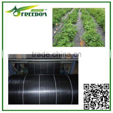 Black pp woven fabric ground cover