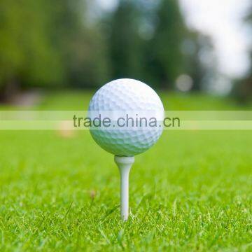 High quality Specialized Golf Tees Holder