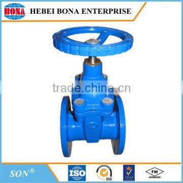 Ductile iron valve