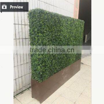 Dongguan Factory Direct Sale Artificial Green Wall Vertical Green Wall Milan Grass Wall photo-2