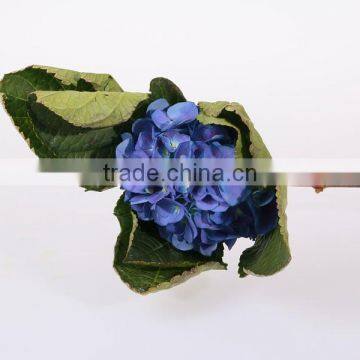 Single Stem Hydrangea Flowers Export Fresh Cut Hydrangea Banquets For Wedding Decoration photo-6
