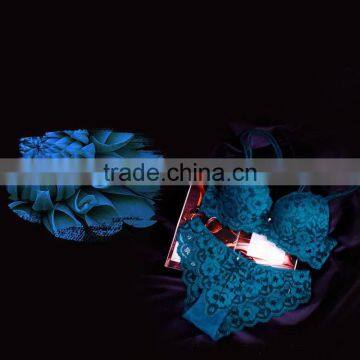 Hot Sex Lady Sexy Underwear Bra New Design photo-4