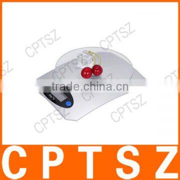 Food Weighing Digital Type 5kg Cheap Electronic Kitchen Scale photo-3