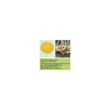 Natural 5% Gingerols powder Ginger extract