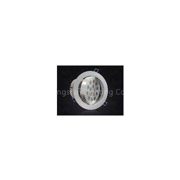 Epistar 15 Watt High Power LED downlight globes 1200lm High Lumen Warm White