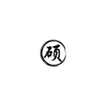 Beijing Langshuo Digital Co., Ltd.