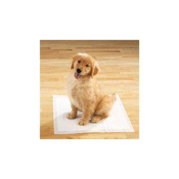 Pet Pad Machines photo-2