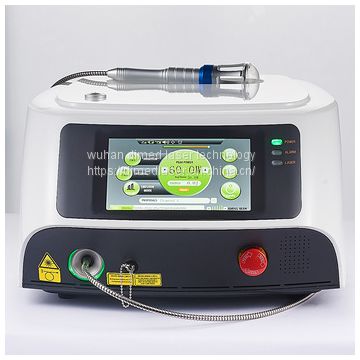 60 Watts GaAlAs Surgical Diode Laser For Your Best Veterinary Experience