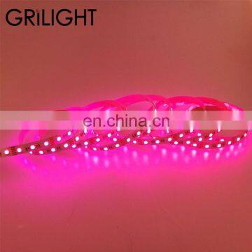 60leds72leds 84leds 96leds led 4 in 1 rgbww strip 24v smd 5050 led strip