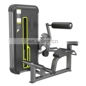 High Quality Commercial Bodybuilding Pin Load Fitness Equipment Back Extension for Club Training With Cheap Price