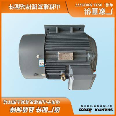 SHANTUI JANEOO Concrete Mixer Motor 37KW 55KW Y2-250M-4-B3 P55 photo-5