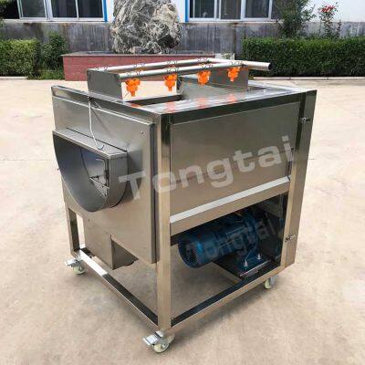 Potato, Sweet Potato, Cassava Cleaning and Peeling Machine photo-2