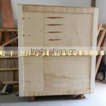 Automatic Pillow Soap Packing Machine From Qingdao Fengye photo-4
