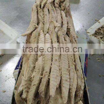 Origin china price for Bonito flake and Auxis thazard