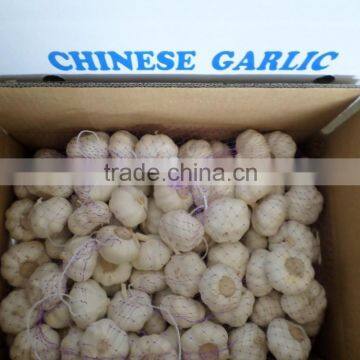 hot selling garlic,Chinese Jin Xiang Garlic New Crop 2016 normal white pure white Global GAP HACCP