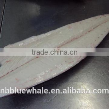 S/S big size smoth skin oilfish fillets HGT to Russia Market