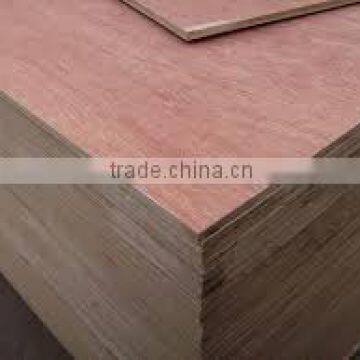 Plywood/Bintangor/Birch Plywood/Agathis Plywood/NZ Pine Plywood photo-4