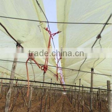 Europe 200 Micro Yellow Color Plastic Film Sheet Cover for Grape Vineyard and Greenhouse Quality Choice