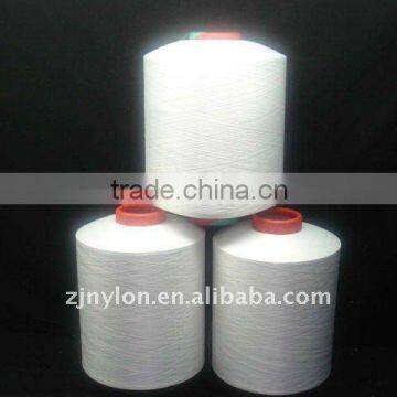 Nylon Yarn 6