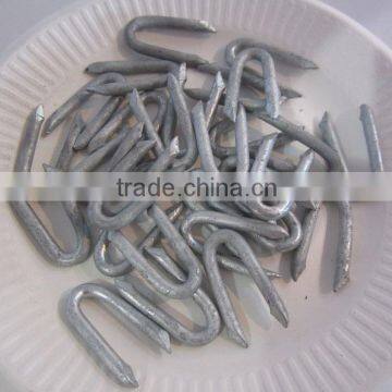 U Staple Nails photo-4