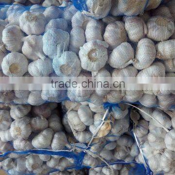 2016 Garlic 4.5cm-6.5cm Garlic Price Garlic Supplier photo-4