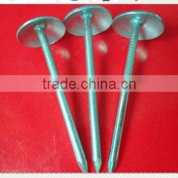 Galvanized roofing nails with plain shank for building decoration