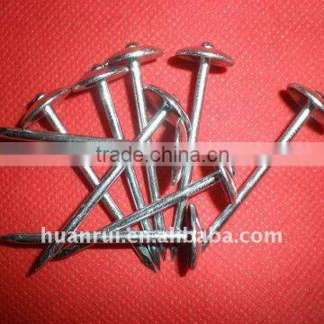 neoprene washer roofing screw1-2