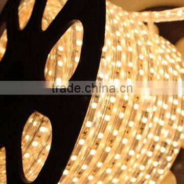 High Lumen SMD5050 High Voltage Waterproof IP65 Led Neon Flexible Strip photo-3