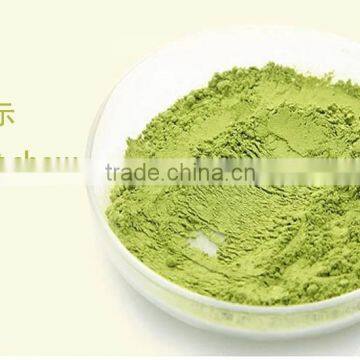 Natural Instant Green Tea Powder Offer Free Sample photo-4